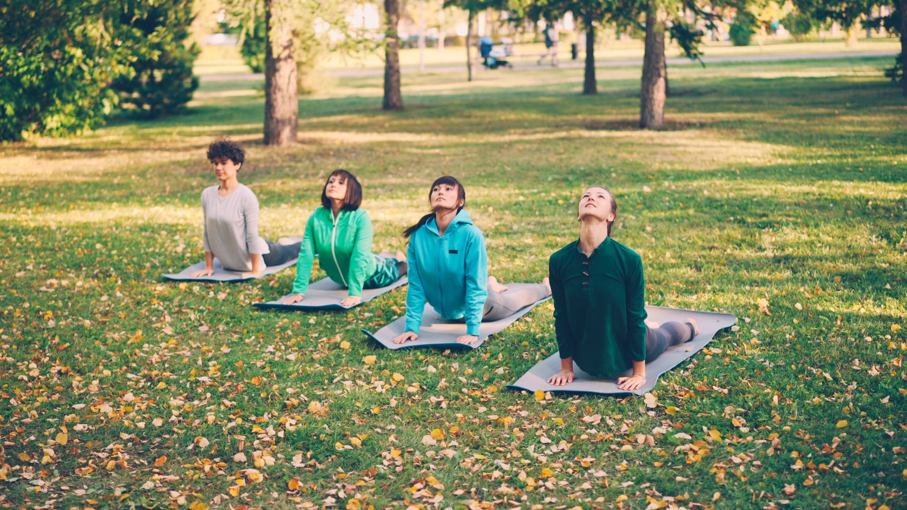 Group taking part in an outdoor wellness session