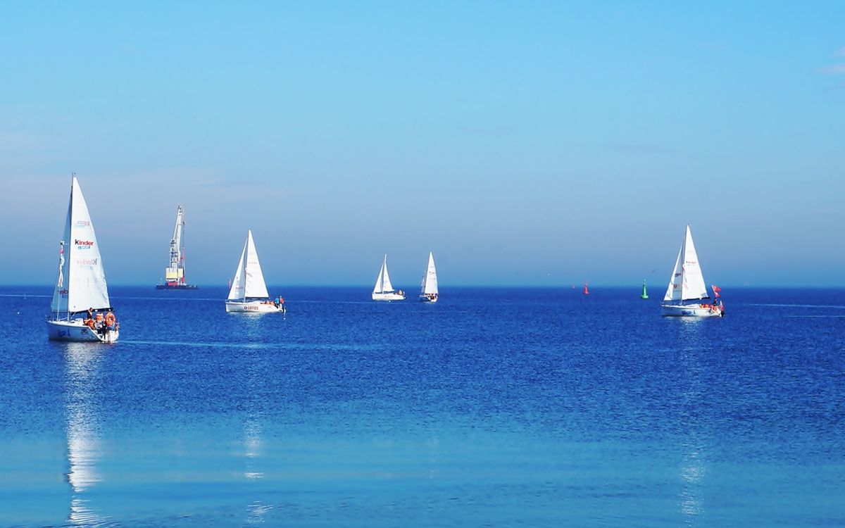 Fleet of sailboats racing across open water